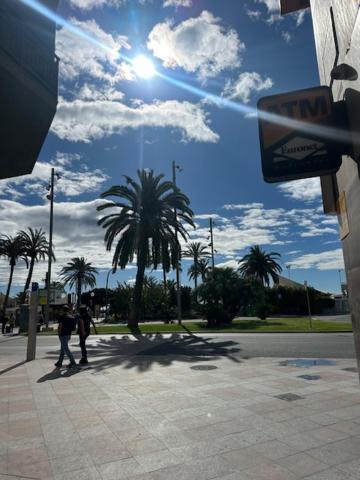 Primo Del Sol Διαμέρισμα Αλικάντε Εξωτερικό φωτογραφία
